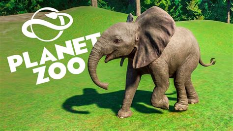 planet zoo baby elephant