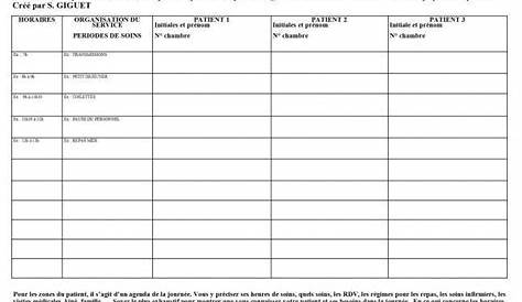 Exemple De Planification De Soins Infirmiers - Le Meilleur Exemple