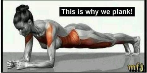 Proper plank form for the most planking benefits YouTube