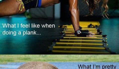 Planking Meme Elephant Funny Image By Jackie Funny Pictures, Friday Humor, Laugh