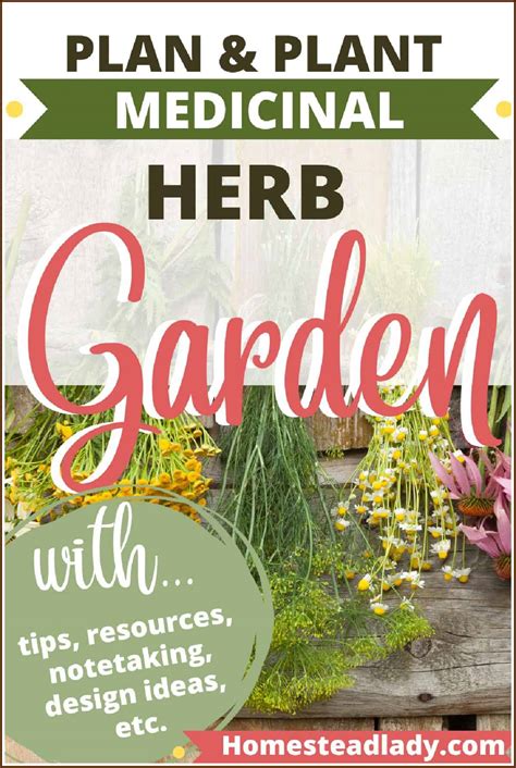 planning a medicinal garden