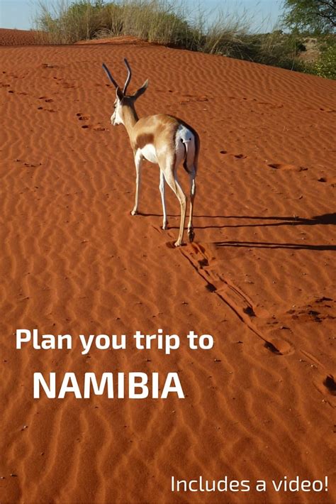 planning a trip to namibia
