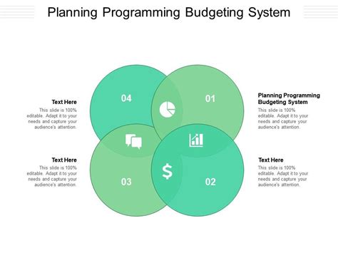 planning programming budgeting system meaning