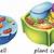 plant and animal cell