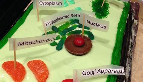 Plant Cell Cake with Candy Organelles Found most of the