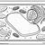 plant cell coloring sheet