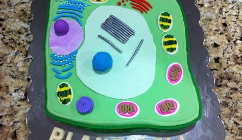 Plant Cell Model Project Cake Edible ,