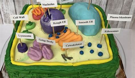 Plant Cell Project Cake Model ,