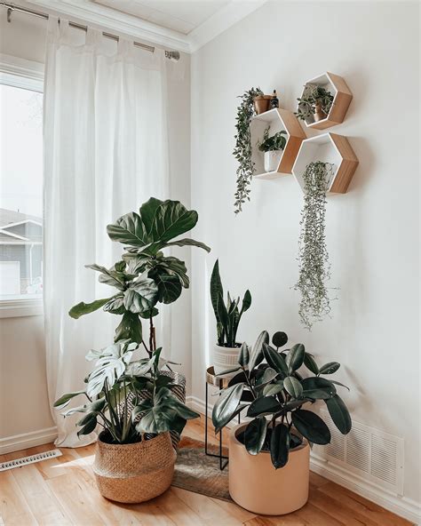 plant corner in 2019 Houseplants, House design, House goals