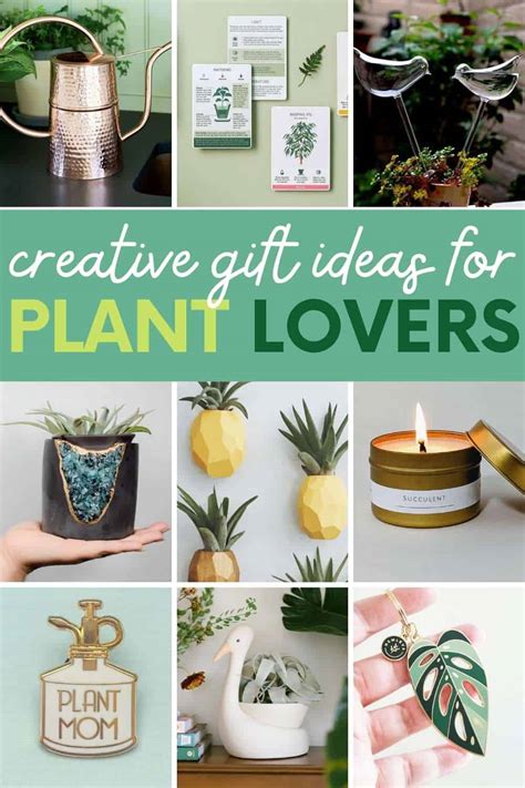 24 Fantastic Gifts For Plant Lovers Birthday Inspire