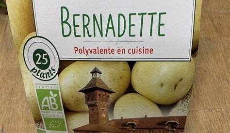 Comment choisir ses plants de pommes de terre