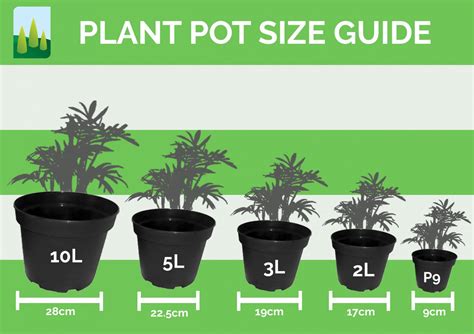 Plant Pot Sizes The Complete Guide Primrose Blog