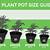 plant pot sizes uk