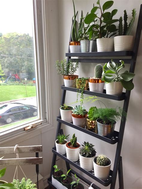 10+ Awesome DIY Plant Shelf Design Ideas To Organize Your Indoor Garden
