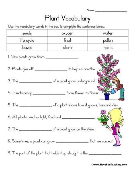 Plant Vocabulary Differentiated Plant Activity Plant activities