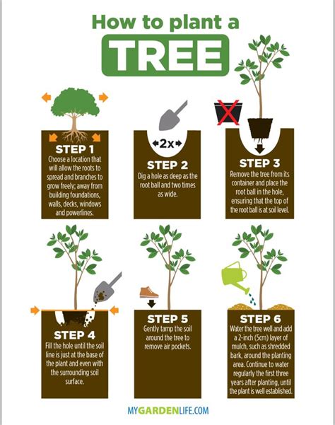 Plant A Tree In A Tree