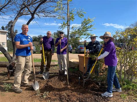Plant A Tree In Memory San Diego