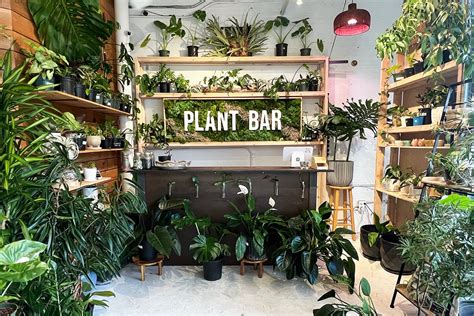 Plant Bar: Introducing The Latest Way To Enjoy Your Favourite Drinks