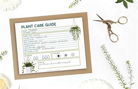 plant care guide template