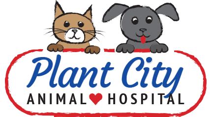 plant city animal hospital plant city fl