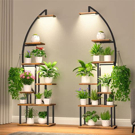 Plant Holders Amazon