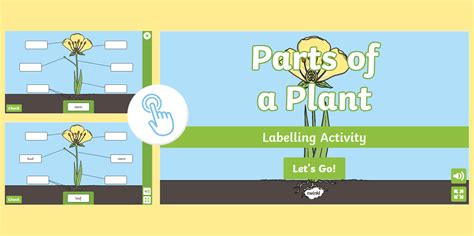 Plant Labelling Interactive