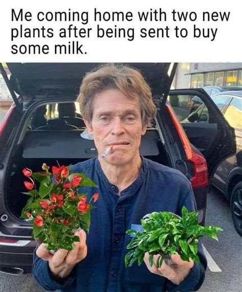 Plant Memes