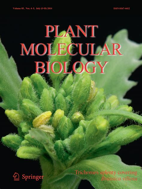 plant molecular biology endnote