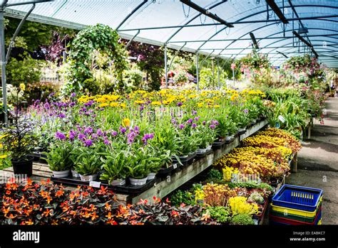 plant nurseries in uk