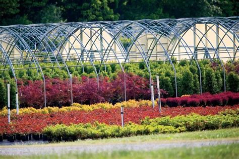 plant nursery in mcminnville
