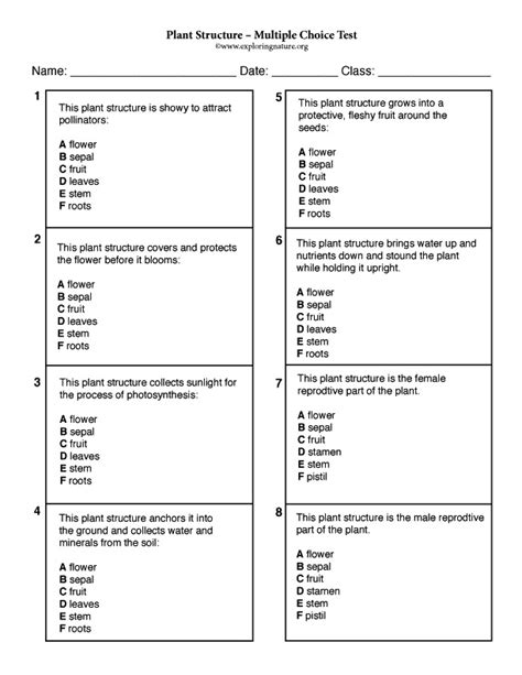 Plant Structure And Function Multiple Choice Questions