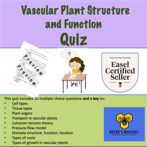 Plant Structure And Function Quiz