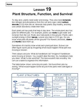 Plant Structure And Function Reading