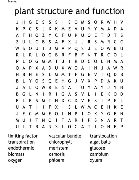 Plant Structure And Function Word Search