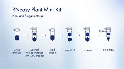 plant total rna kit