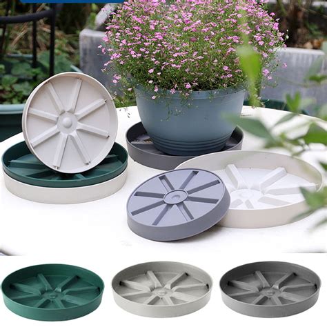 Introducing Plant Trays: The Eco-Friendly Way To Grow