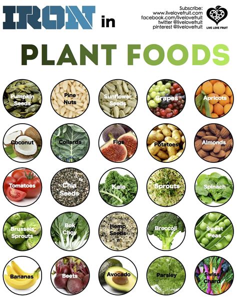 plant-based iron sources