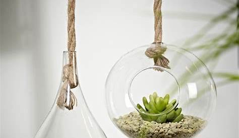 Plante grasse artificielle succulente cactee en bulle de