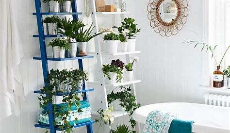 Quelles plantes pour une salle de bains ? Marie Claire