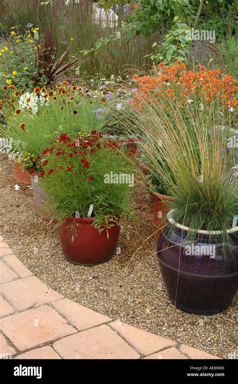 planted containers