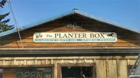 Planter Box Long Beach Wa: The Perfect Addition To Your Outdoor Space