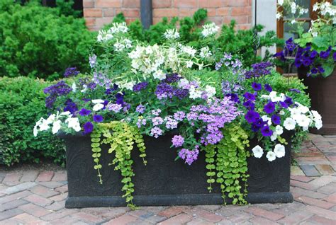 Planter Examples