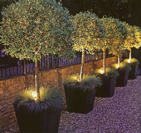 Planter Light Fixtures