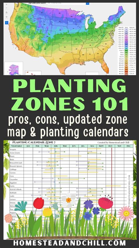 Gardening Tips To Help You Have The Garden of Your Dreams