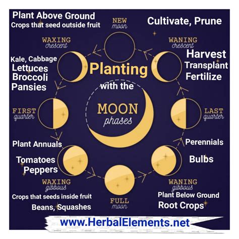 planting by the moon cycle