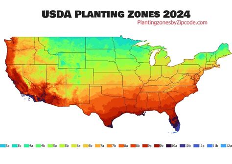 Planting Calendar By Zip Code 2024