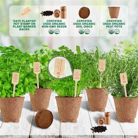 Planting Diy Kit