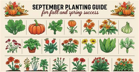 15 Vegetables to Plant in September {Zone 9} Fall garden vegetables