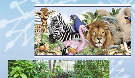 Plants And Animals Classification Classifying Ppt Video Online Download