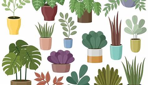 Plants Clipart Isolated Plant In Pot Download Free Vectors,